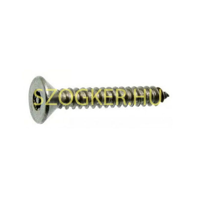 BIZT.LEMEZCSAVAR D4.8*32 DIN 7982 A2 SFTORX-CSAPOS INOX EGYEDI KULCSNYÍLÁSÚ BIZT.LEMEZCSAVAR D4.8*32 DIN 7982 A2 SFTORX-CSAPOS INOX EGYEDI KULCSNYÍLÁSÚ