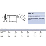 KAPUPÁNTCSAVAR M6*50 DIN 603 4.6 SHG. EGYEDI RETRO  METRIKUS CSAVAROK